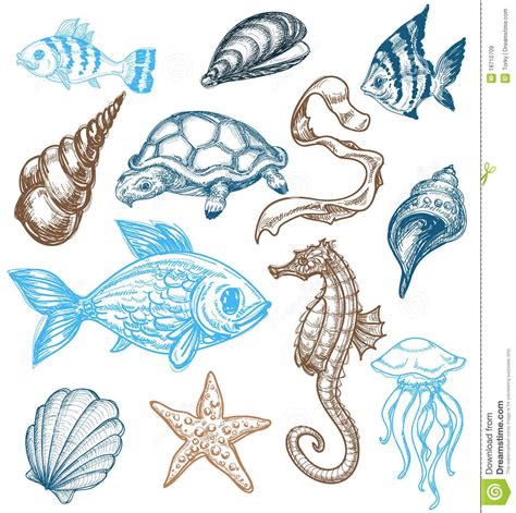 Master Drawing Underwater Creatures: Comprehensive .